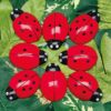 Ladybug Counting Stones - Image 4