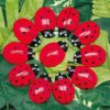 Ladybug Counting Pack - Image 4