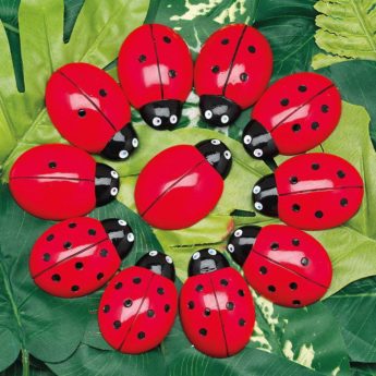 Ladybug Counting Pack - Image 4
