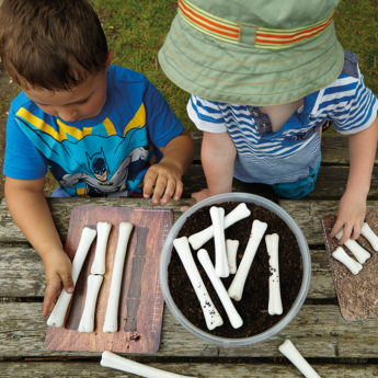 Children's dinosaur bones for matching and measuring activities at KS1