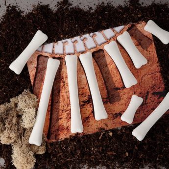 Dinosaur Bones Match and Measure Pack - Image 2