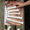 Dinosaur Bones Match and Measure Activity Cards - Image 4
