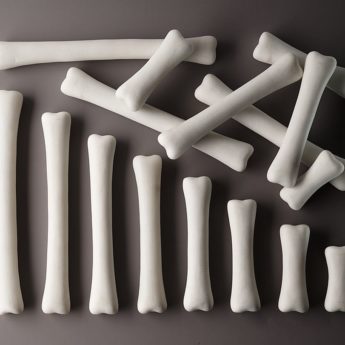 Dinosaur Bones Match and Measure Set - Image 3