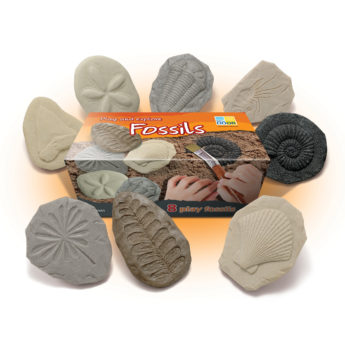 Eight realistic tactile fossils - great for discovery and investigation