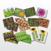 Ladybug Counting Pack - Image 9
