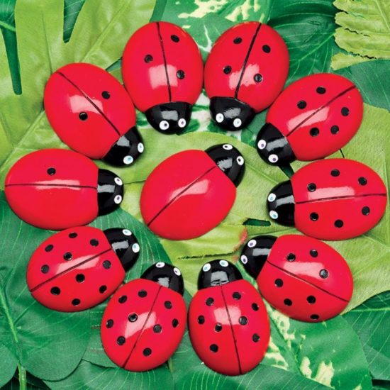 Ladybug Counting Stones