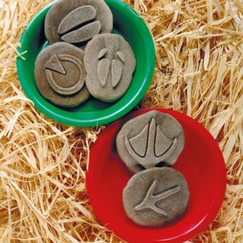 Let’s Investigate – Farmyard Footprints