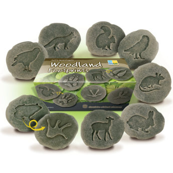 Eight double sided stones with footprint on one side animal on the other.  70-80 mm