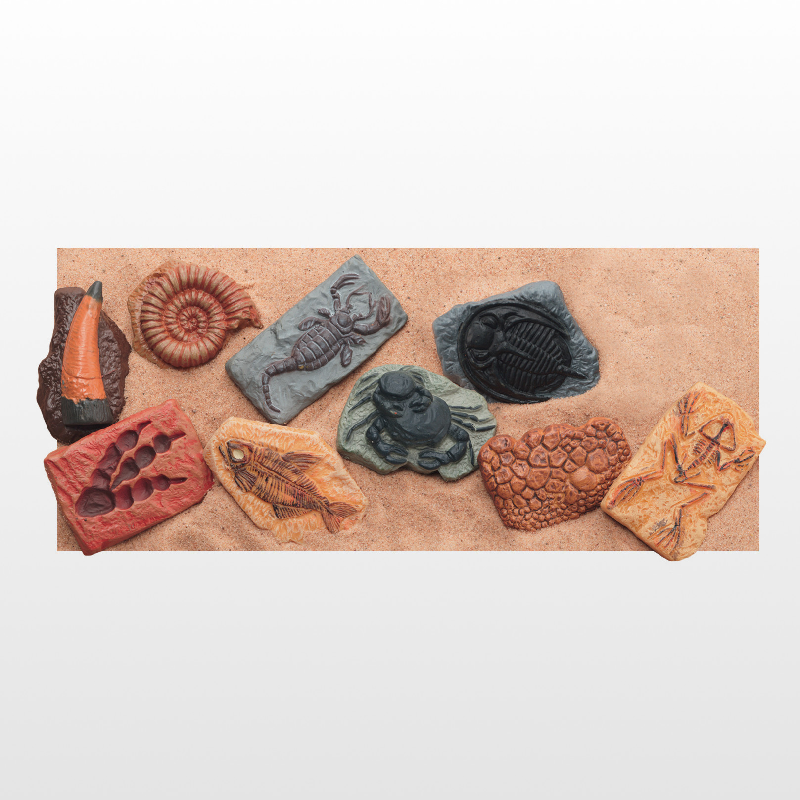 Ancient Fossils - set of 10 plastic fossils