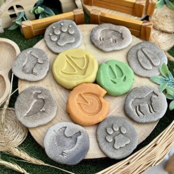 Let's Investigate - Farmyard Footprints