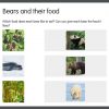 Goldilocks and the Three Bears App - Image 4