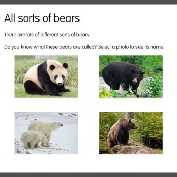 Goldilocks and the Three Bears App - Image 5