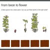 Jack and the Beanstalk App - Image 4