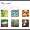 Come Alive Nursery Rhymes App - Image 5