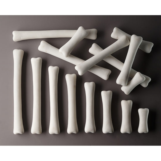 Dinosaur Bones Match and Measure Set