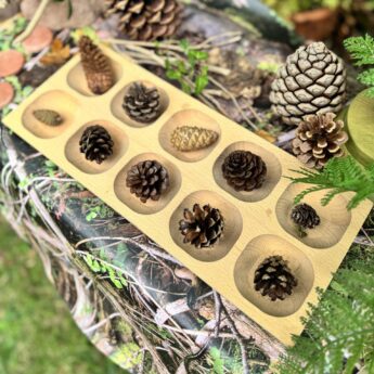 10-Frame Tray