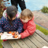 Natural Sorting Tray - Image 2