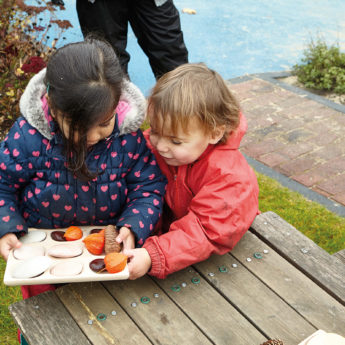 Natural Sorting Tray - Image 2
