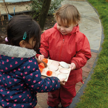 Natural Sorting Tray - Image 3