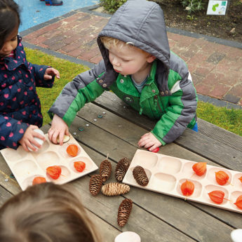 Natural Sorting Tray - Image 4