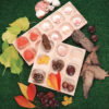10-Frame Tray - Image 3