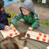 10-Frame Tray - Image 4