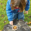 Natural Shape Viewers - Image 2
