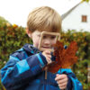 Natural Shape Viewers - Image 3