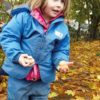 Feast of Nature - Sensory Play Set - Image 5
