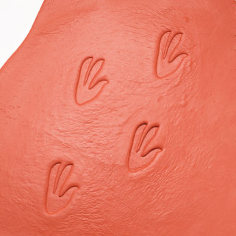 Let's Investigate - Dinosaur Footprints - Image 3