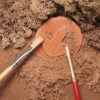 Let's Investigate - Dinosaur Footprints - Image 4