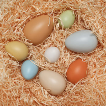 8 different-sized eggs ranging between 40-75mm high