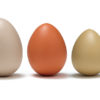 Size-Sorting Eggs - Image 2