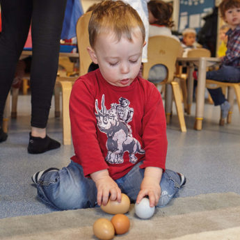 Size-Sorting Eggs - Image 3