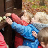 Size-Sorting Eggs - Image 4