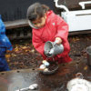 Size-Sorting Eggs - Image 5