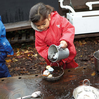 Size-Sorting Eggs - Image 5