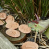 Let's Investigate - Dinosaur Footprints - Image 9