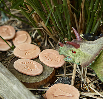 Let's Investigate - Dinosaur Footprints - Image 9