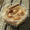Play Eggs - Image 2