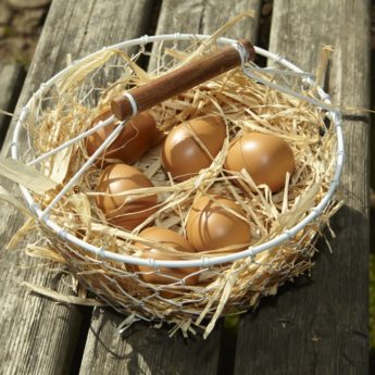 Play Eggs - Image 2