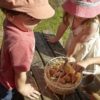 Play Eggs - Image 3