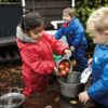 Play Eggs - Image 5