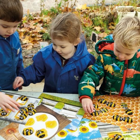 Explore early maths concepts with these durable Honey Bee stones and activity cards