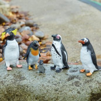 5 fabulous plastic penguin play figures measuring 45-140mm