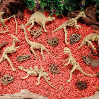 Dinosaur Skeletons add interest to jurassic small worlds!