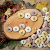 Let's Boost... Letters & Sounds Outdoors Kit - Image 4