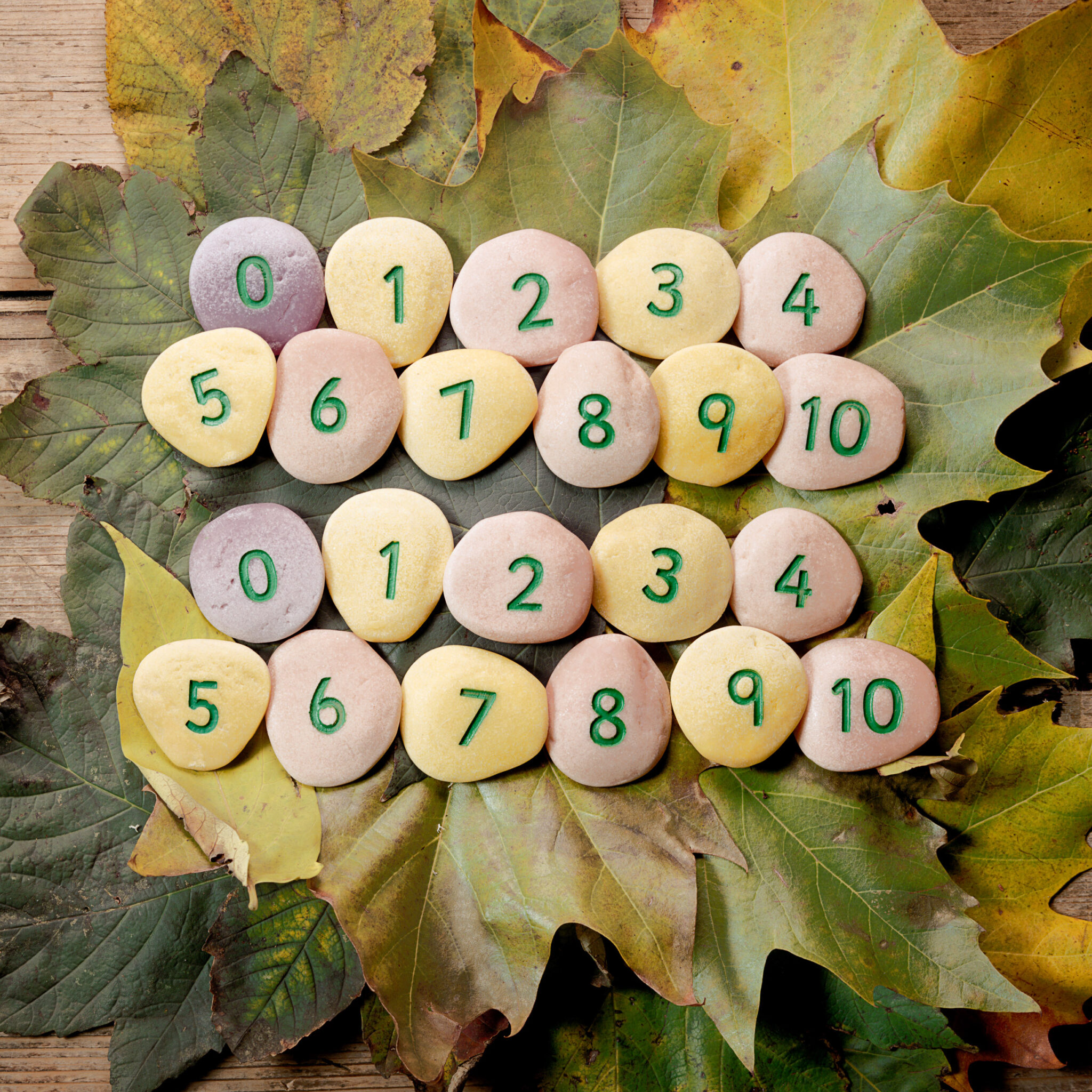 5-Frame Tray - explore numbers between 1 and 5