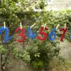 Feely Fabric Numbers - Image 3