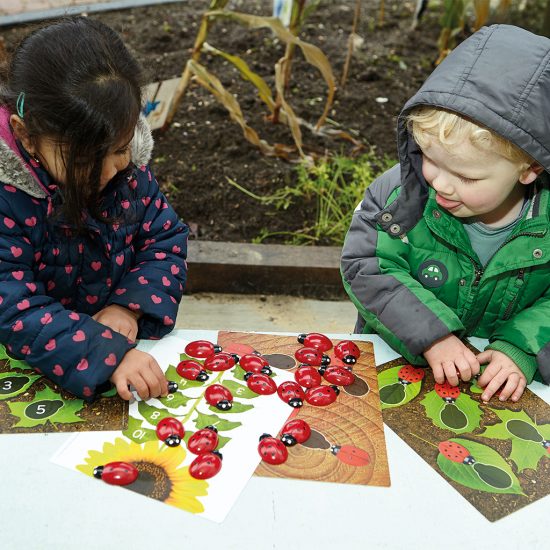 Ladybugs Counting Resources